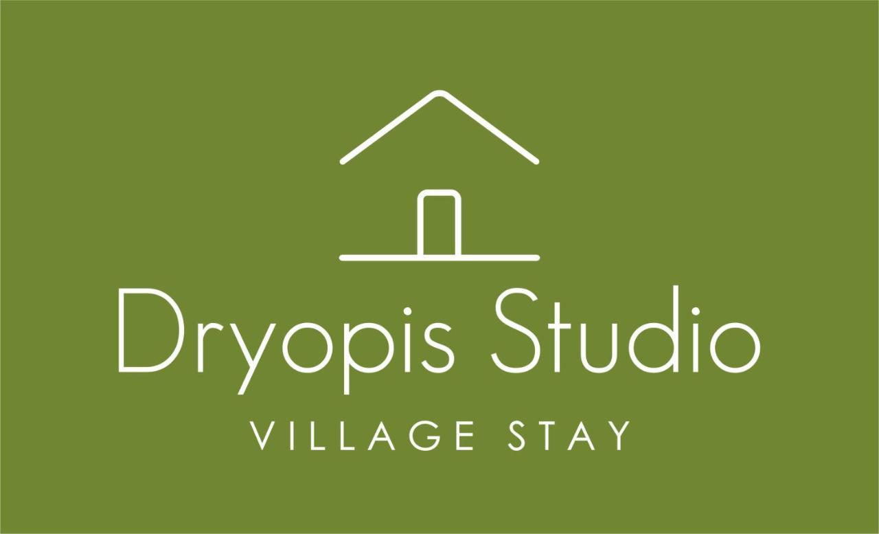 Dryopis Studio Dhriopís 외부 사진